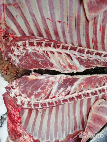 Свое мясо баранины и козлятины халяль и жир