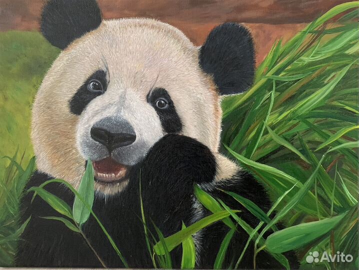 Картина маслом на холсте Панда