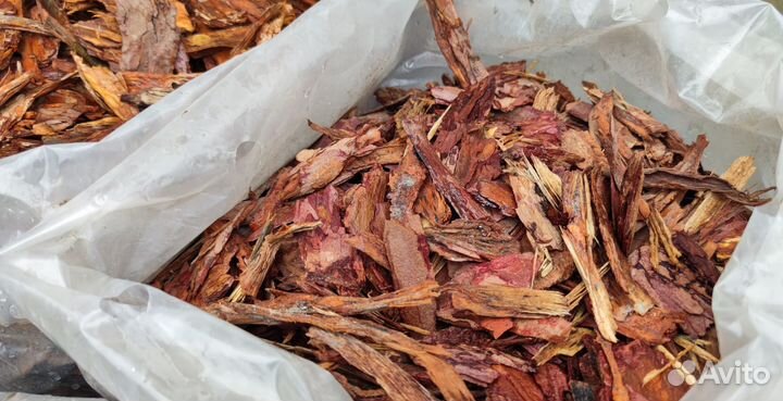 Кора лиственницы