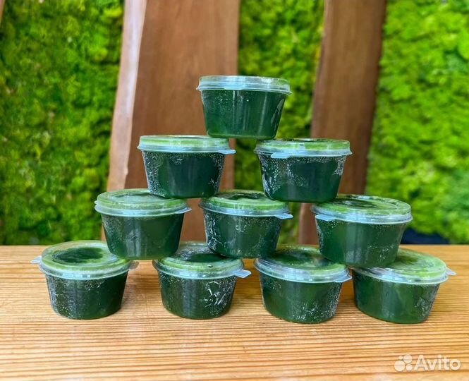 Микрозелень. Витграсс. Сок ростков пшеницы