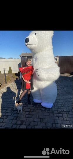 Ростовая кукла(надувной )