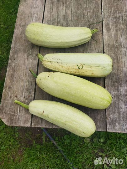 Домашние овощи