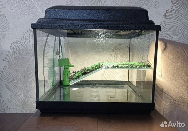 Террариум для красноухой черепахи