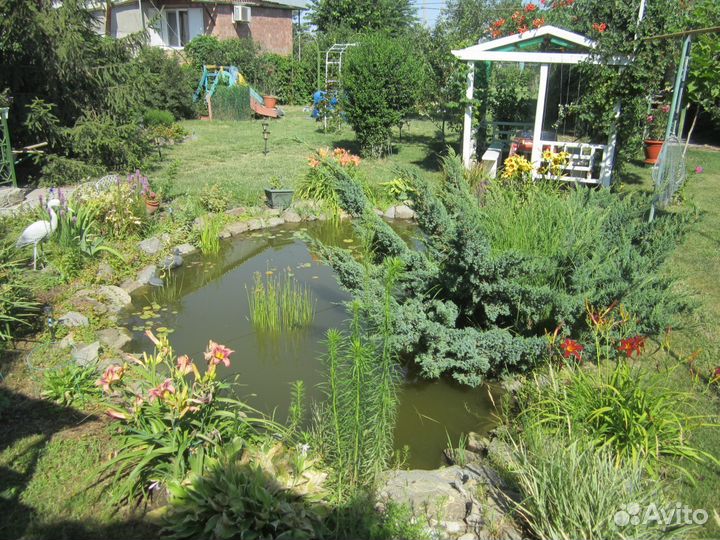 Отдых и рыбалка в Астрахани