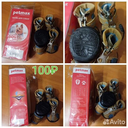 Одежда для собак