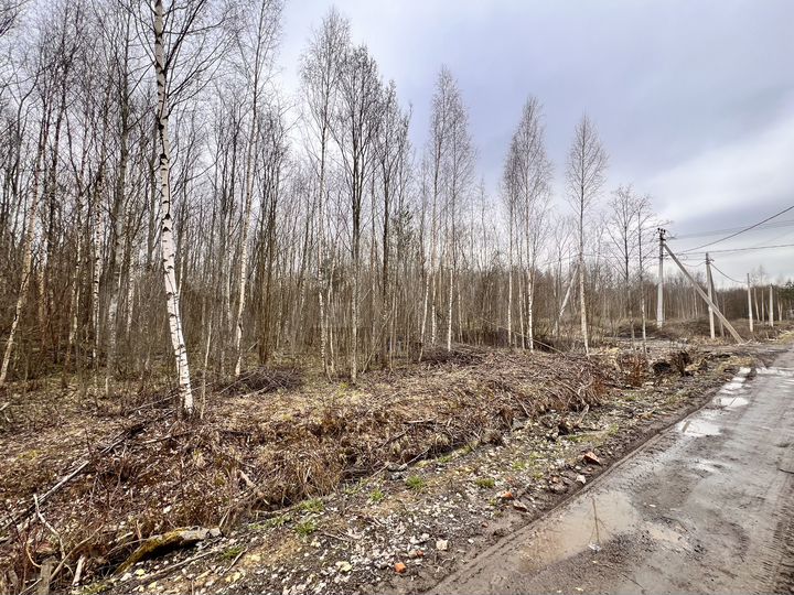 Участок 16,2 сот. (ИЖС)