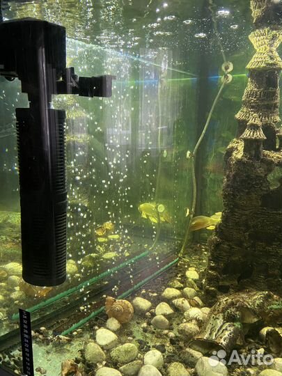 Аквариум с тумбой juwel 350 л