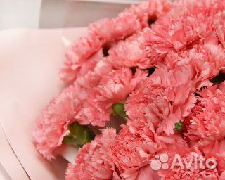 Букет из 35 розовых гвоздик в стильной упаковке