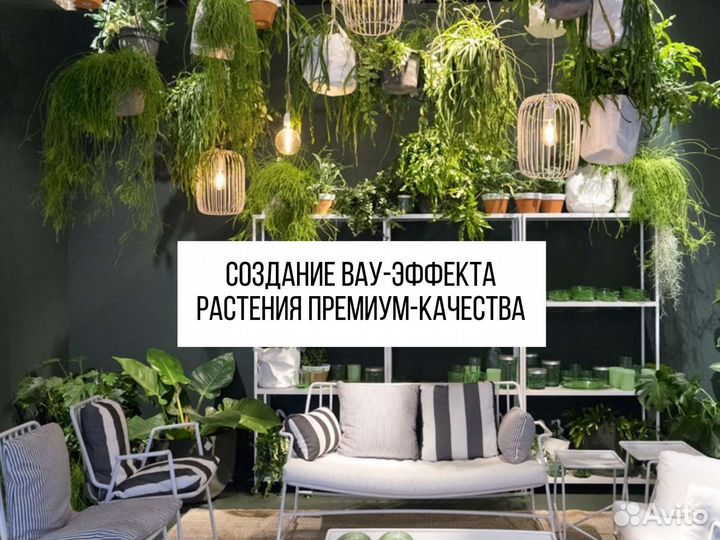 Искусственные растения для потолка озеленение кафе