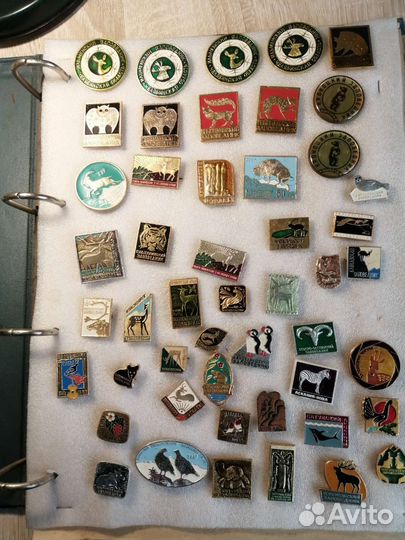 Коллекция значков СССР