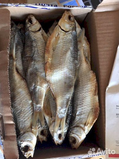 Астраханская вяленая вобла