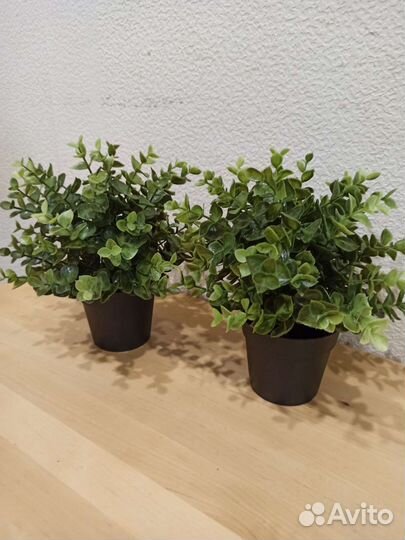 Искусственные цветы от Икеа Fejka 2 шт