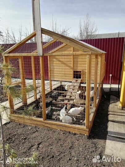 Курятник. Клетка для птиц