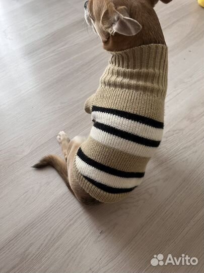 Кофточки и носочки для собаки