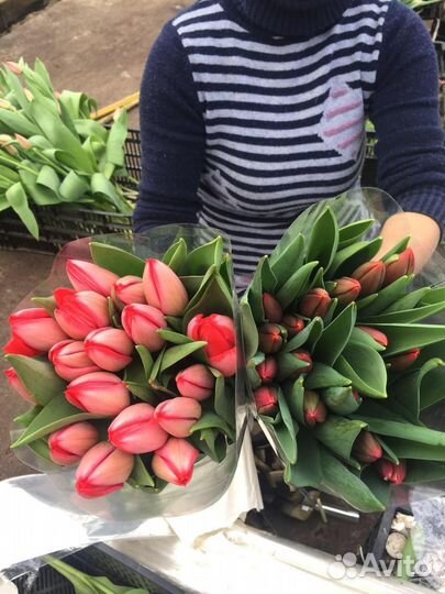 Тюльпаны к 8 марта москва