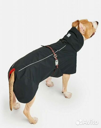 Одежда для большой собаки