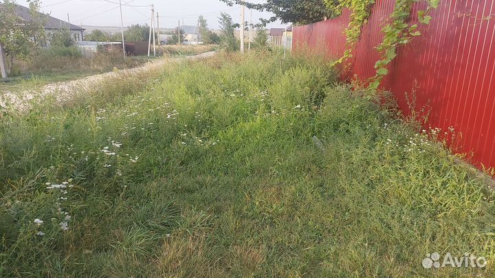 Покос травы триммером