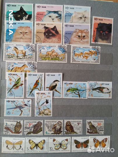 Альбом с марками млекопитающие