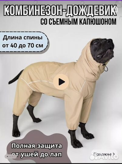 Дождевик для собак