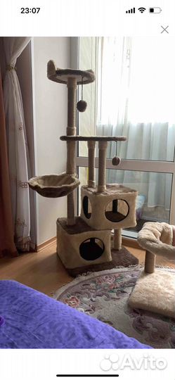 Новая когтеточка - комплекс