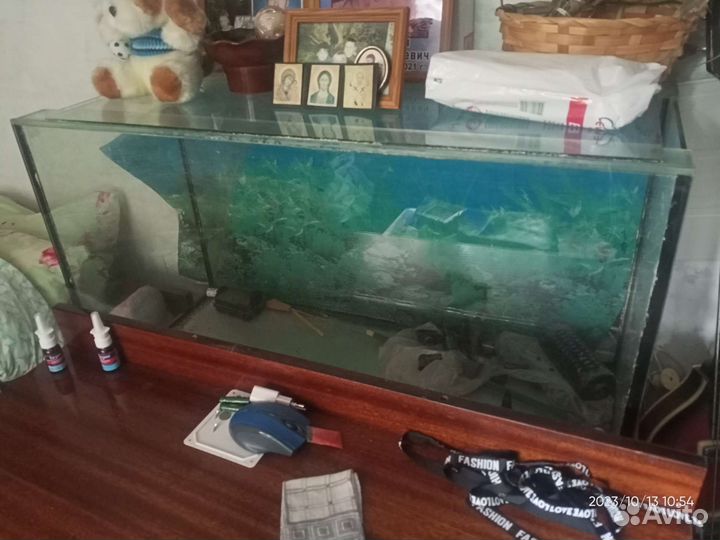 Аквариум