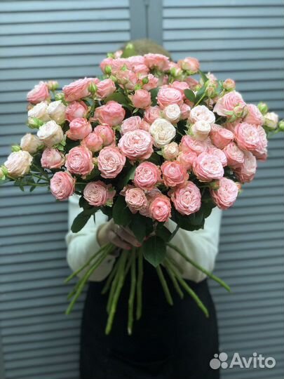 Кустовые пионовидные розы