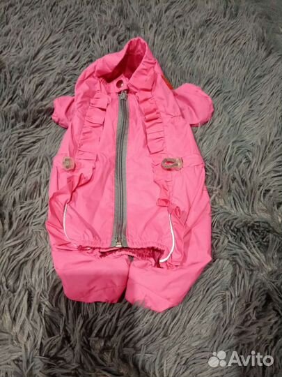 Комбенизон для собак