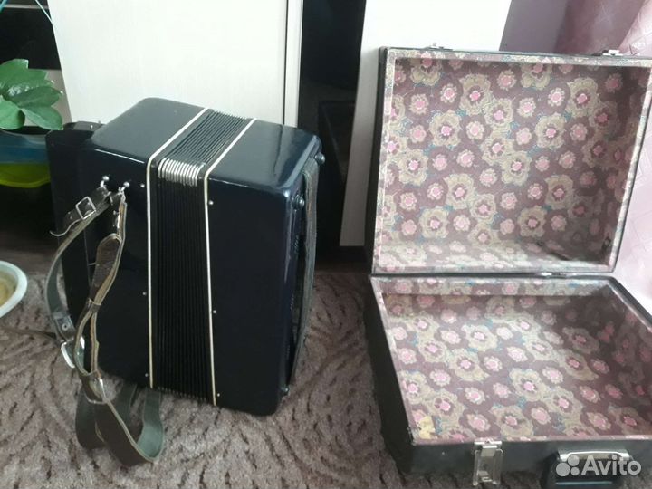 Баян Рубин 6