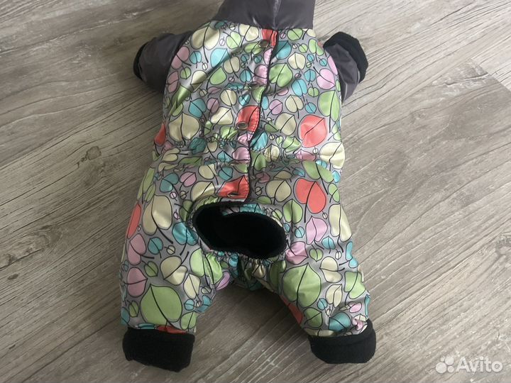 Комбинезон для шпица мальчик