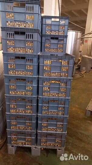 Пластиковые ящики для хранения бу размер 55*35*25