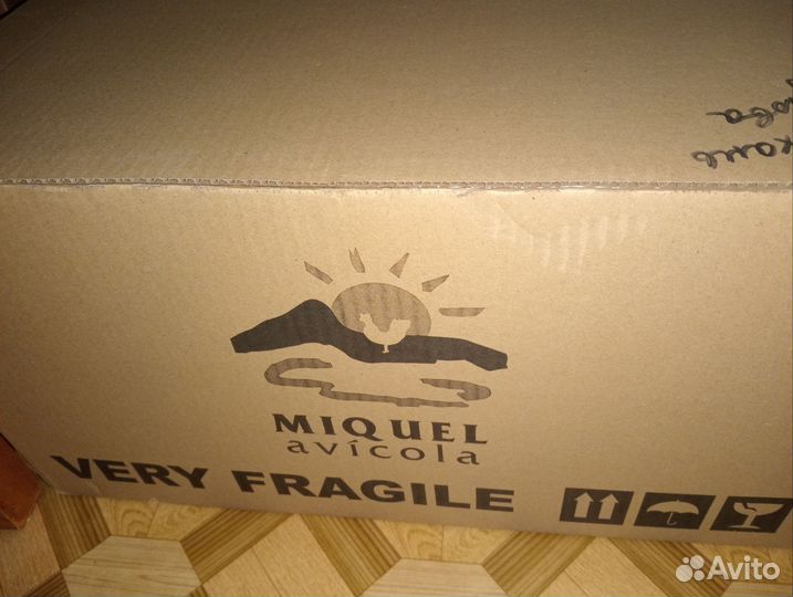 Инкубационное яйцо