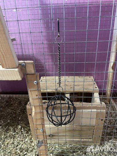 Клетка для шиншиллы бу