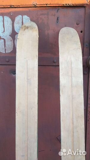 Лыжи охотничьи