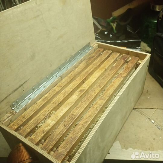 Рамки медовые