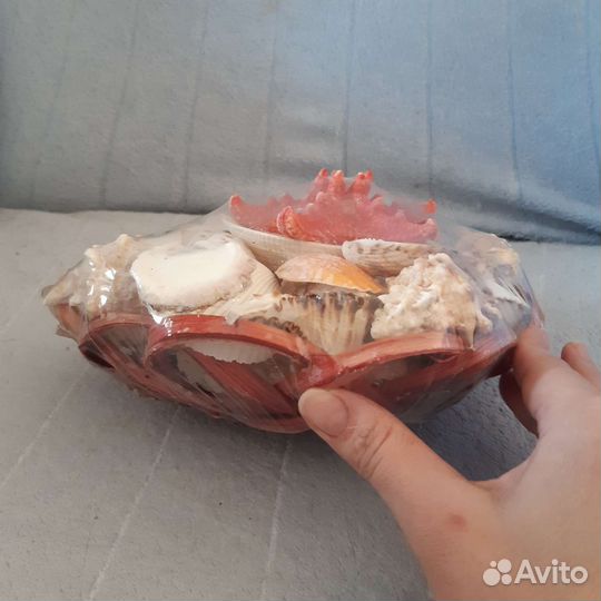 Ракушки морские для аквариума