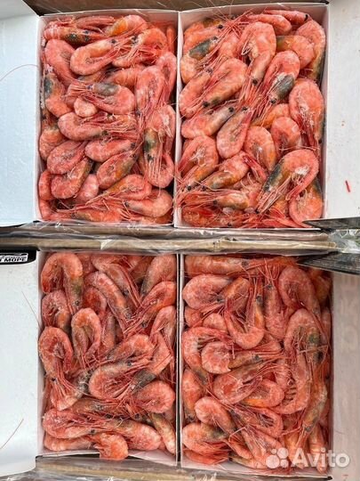 Креветка Северная в/м 70/90