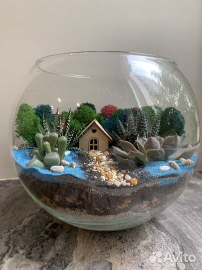 Флорариум с суккулентами