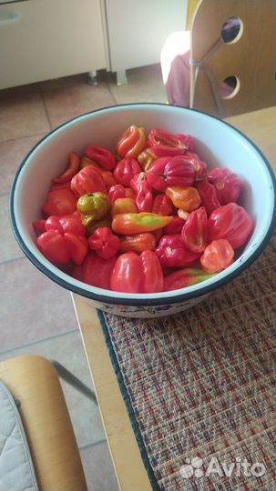 Острый соус