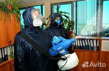 Уничтожение клопов и тараканов, дезинсекция