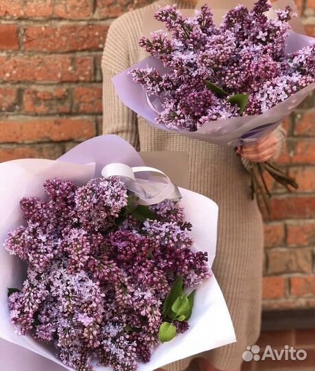 Букет сирени