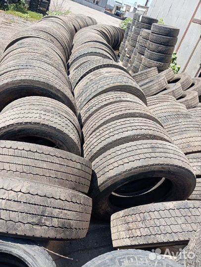 Gislaved NordFrost 100 205/55 R16