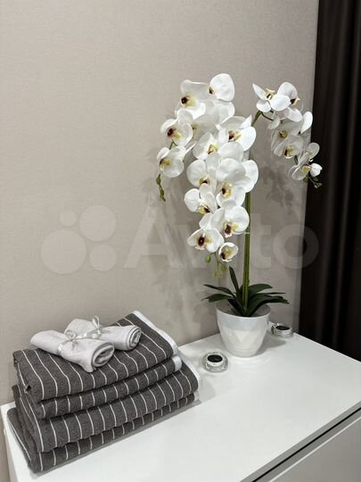 2-к. квартира, 45,9 м², 4/5 эт.