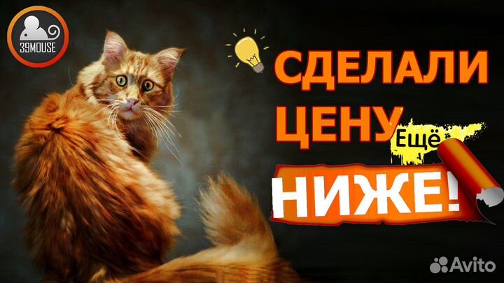 Шустрый Геймерский Пк Intel Core i7 Гарантия New