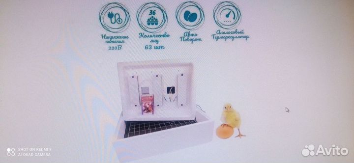 Инкубатор Несушка на 63 яйца аналоговый терморег