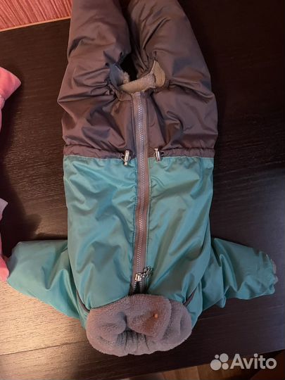 Одежда для собак