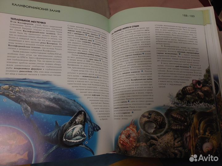 Энциклопедия- подводный мир