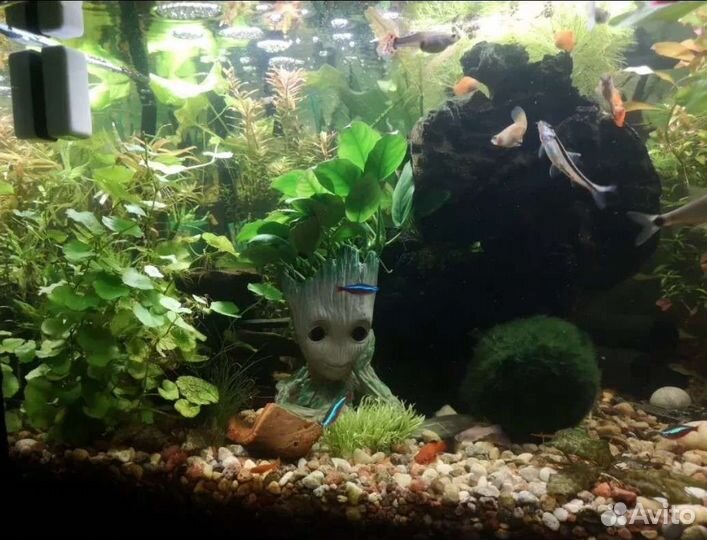 Декорация Грут