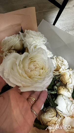 Лепестки белых роз