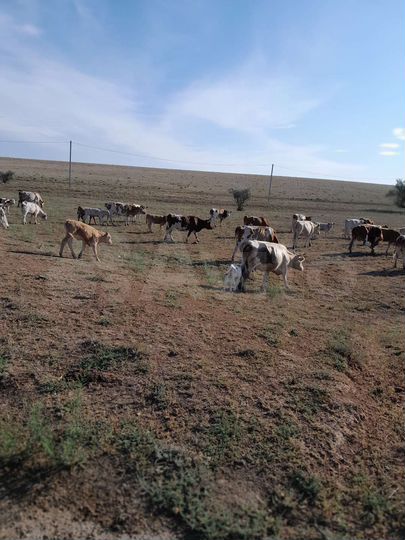 Дом 110 м² на участке 10 сот.