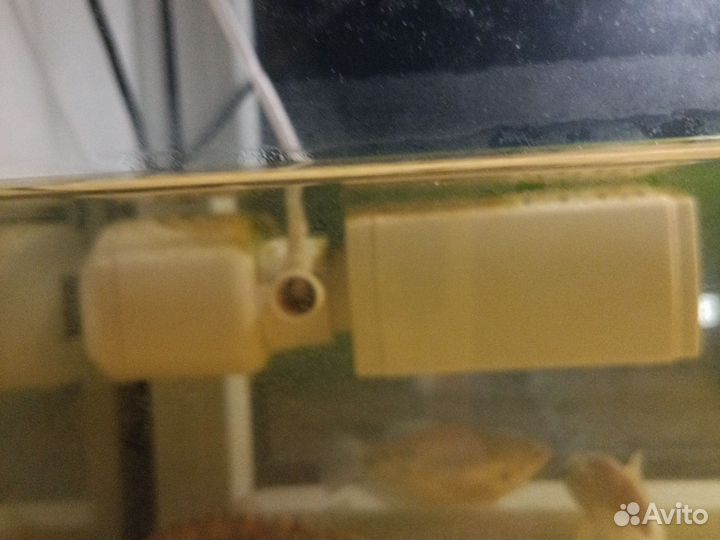 Аквариум с рыбками бу